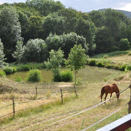 La Bergerie Bed and Breakfast Pollionnay Εξωτερικό φωτογραφία