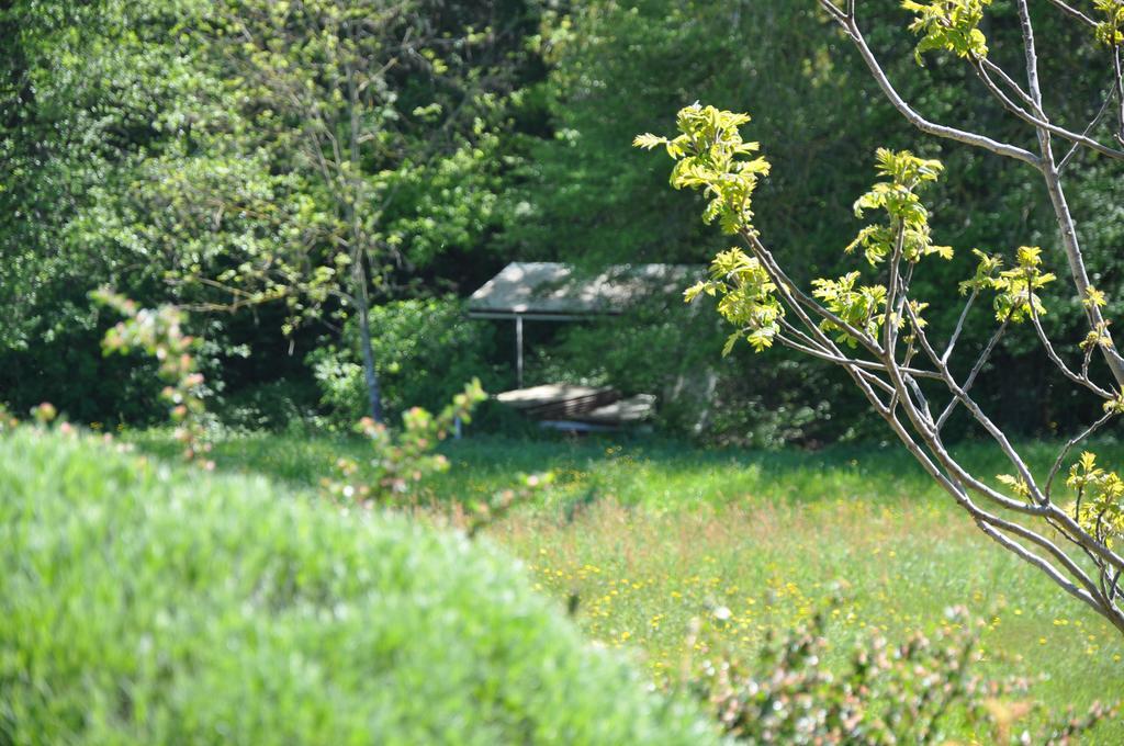 La Bergerie Bed and Breakfast Pollionnay Εξωτερικό φωτογραφία