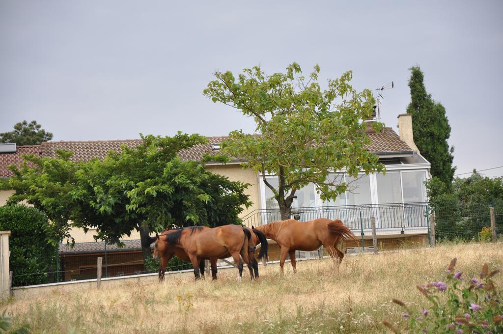 La Bergerie Bed and Breakfast Pollionnay Εξωτερικό φωτογραφία
