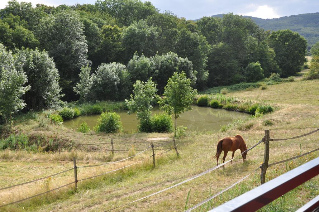 La Bergerie Bed and Breakfast Pollionnay Εξωτερικό φωτογραφία